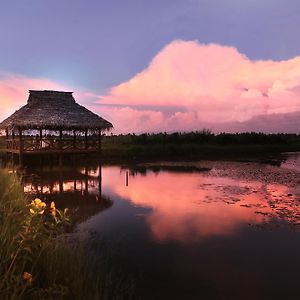 Coconut Lagoon Kumarakom - A Cgh Earth Experience
